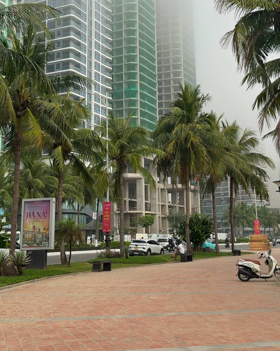 Palm-lined boulevard in Da Nang with high-rise towers fading into sea fog.